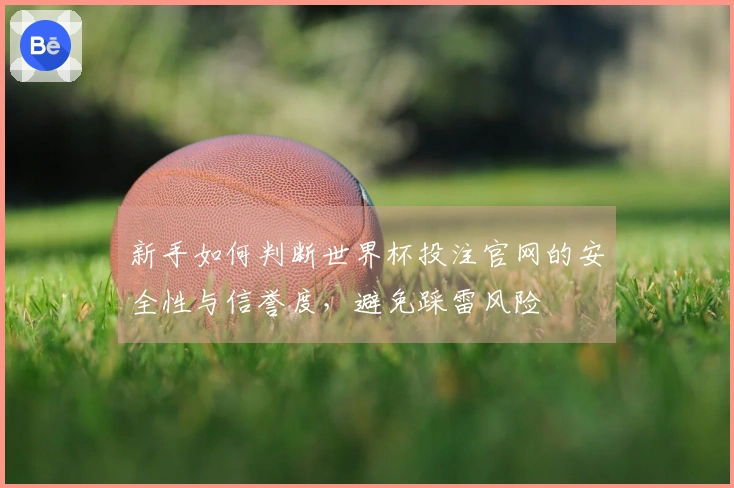 新手如何判断世界杯投注官网的安全性与信誉度，避免踩雷风险