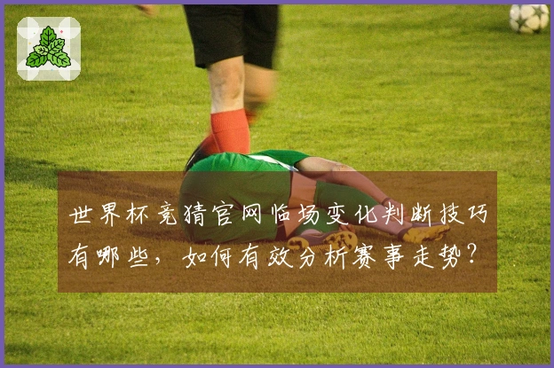 世界杯竞猜官网临场变化判断技巧有哪些,如何有效分析赛事走势?