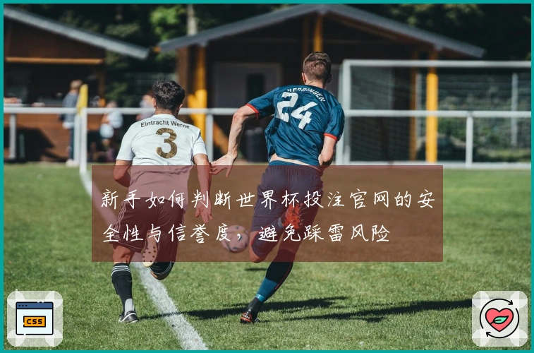新手如何判断世界杯投注官网的安全性与信誉度，避免踩雷风险